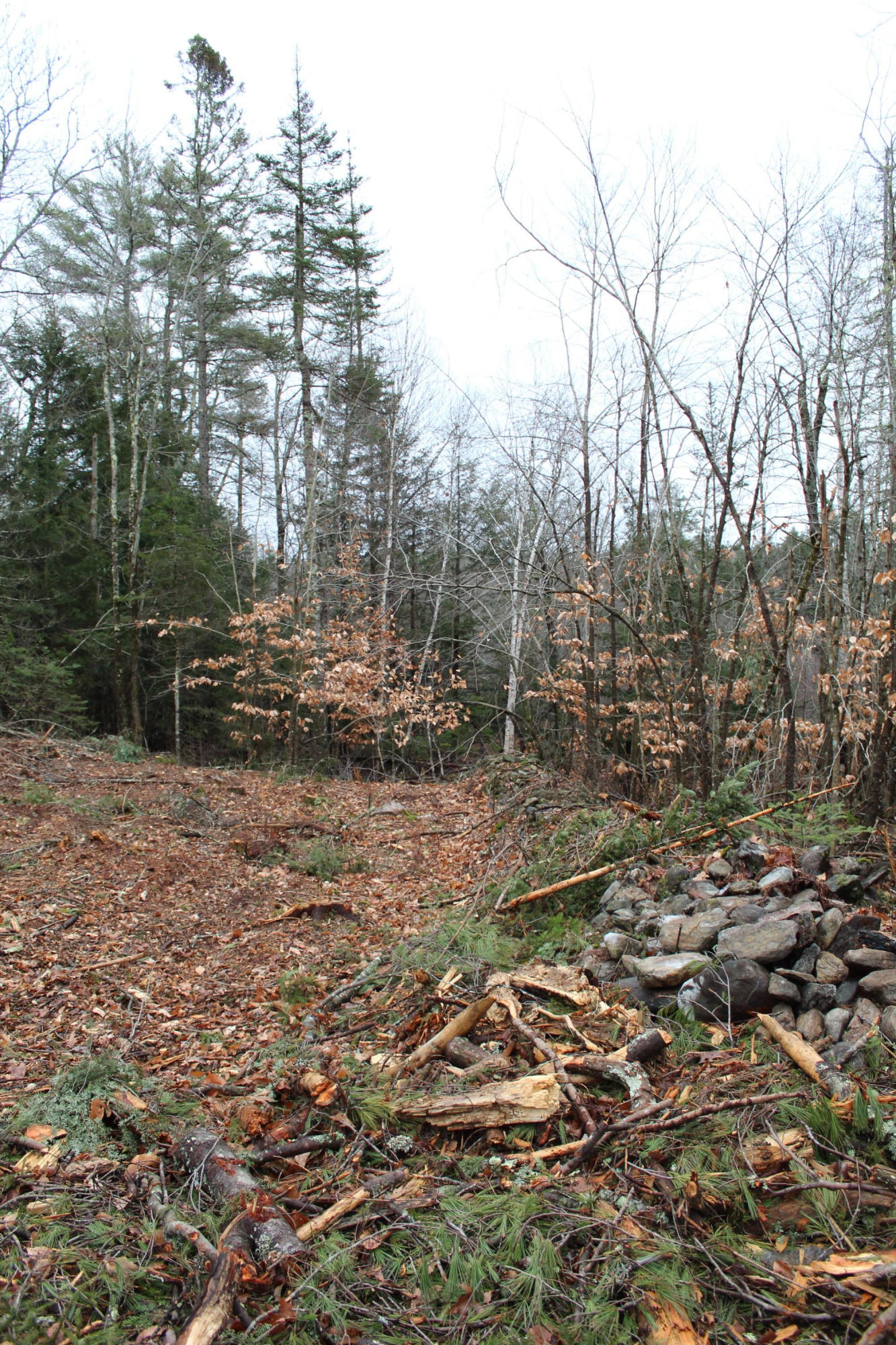 Map 7-lot Map 7-lot Pond Hill Rd Brooks Brooks, ME 04921 - Photo 15 of 15 Stone wall 1
