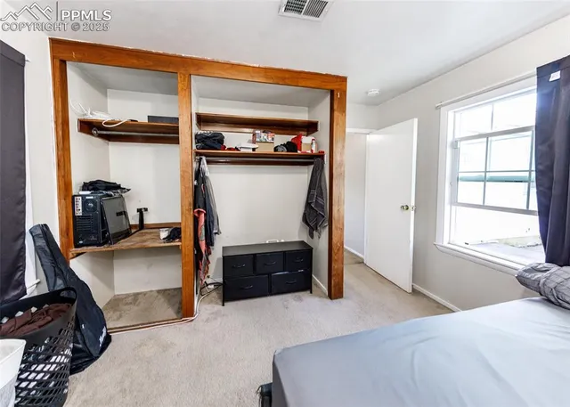 a view of a park with large trees