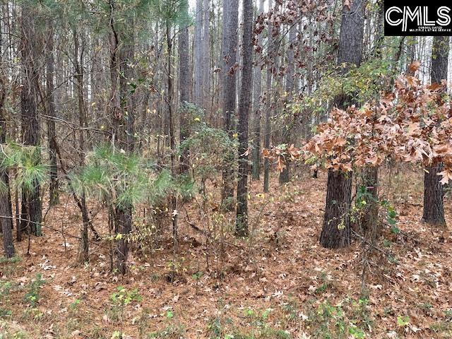 Lot 104 Pineland Road Chappells, SC 29037 - Photo 16 of 25