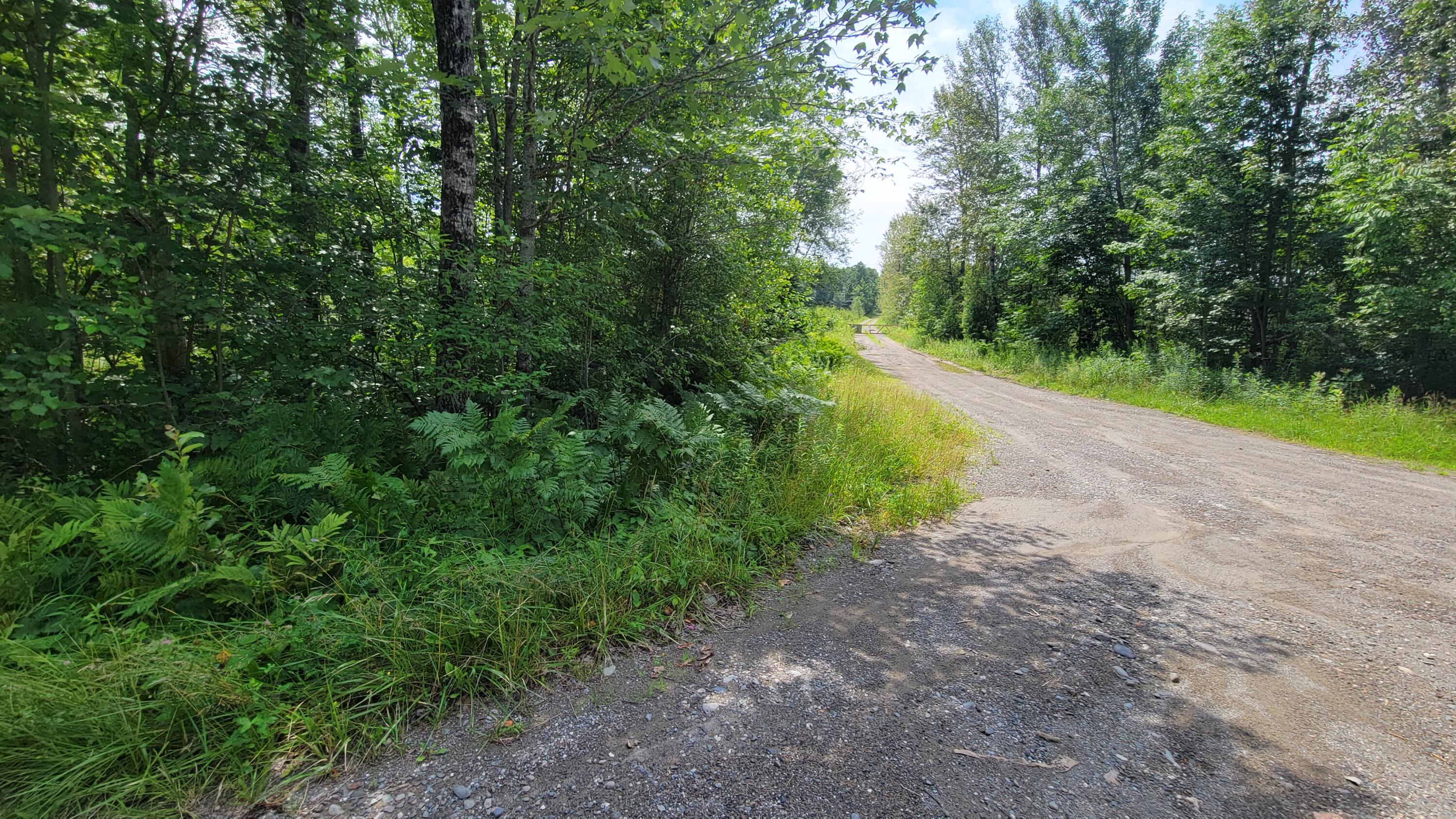0 Tay Road Levant, ME 04456 - Photo 4 of 18 20240718_112923