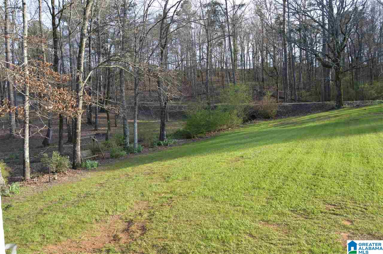 3337 Nail Road Warrior, AL 35180 - Photo 50 of 50
