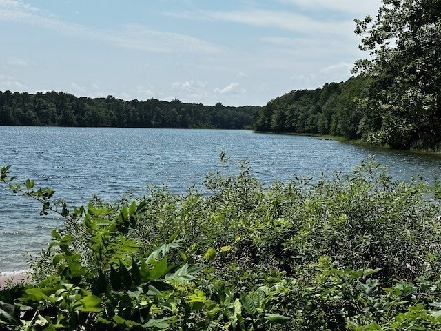 22 Ridgewood Drive Sandwich, MA 02537 - Photo 39 of 41 Gallery Image 39