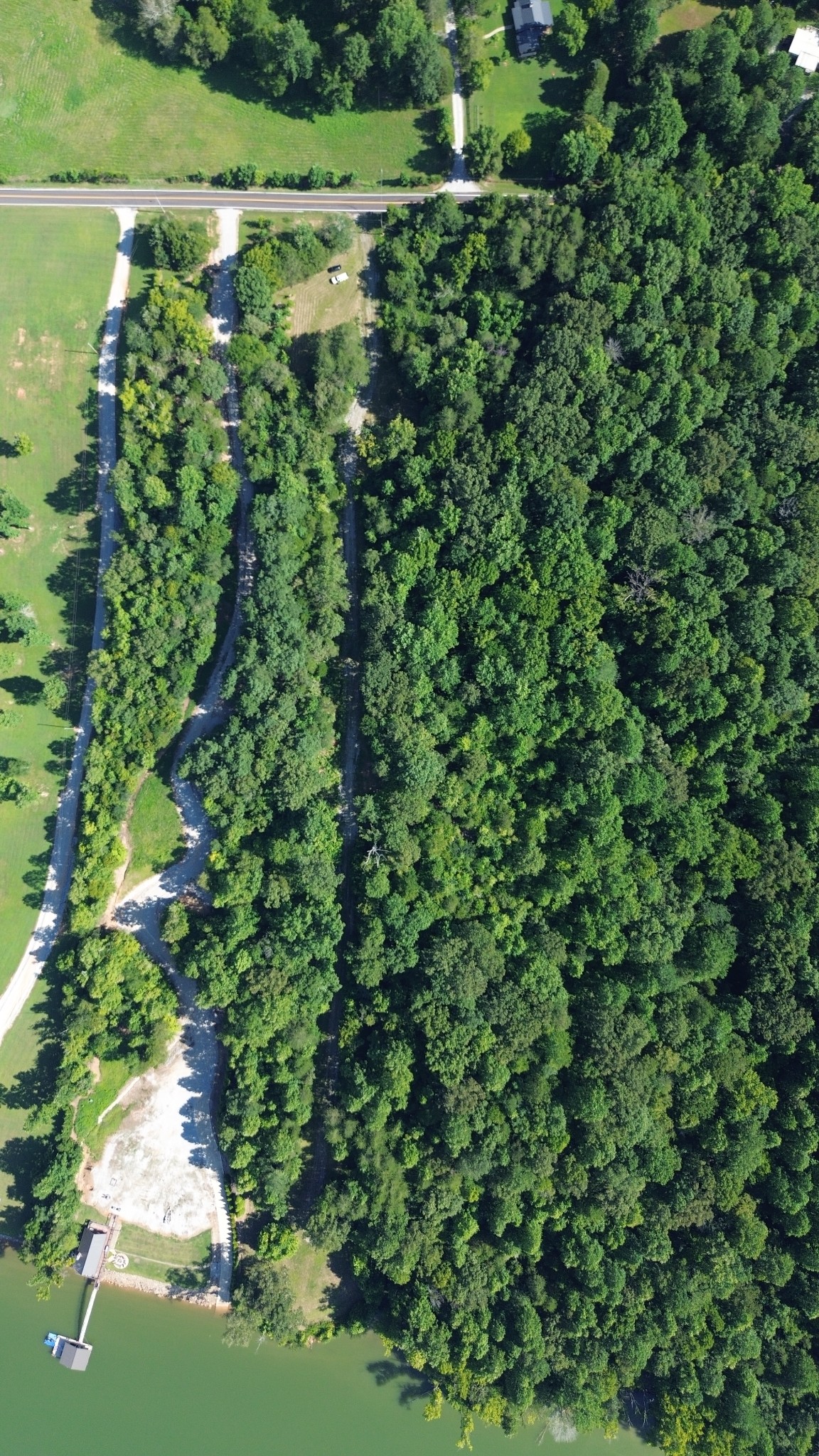 1627 Rogers Road Doyle, TN 38559 - Photo 7 of 11 a view of a yard with a house