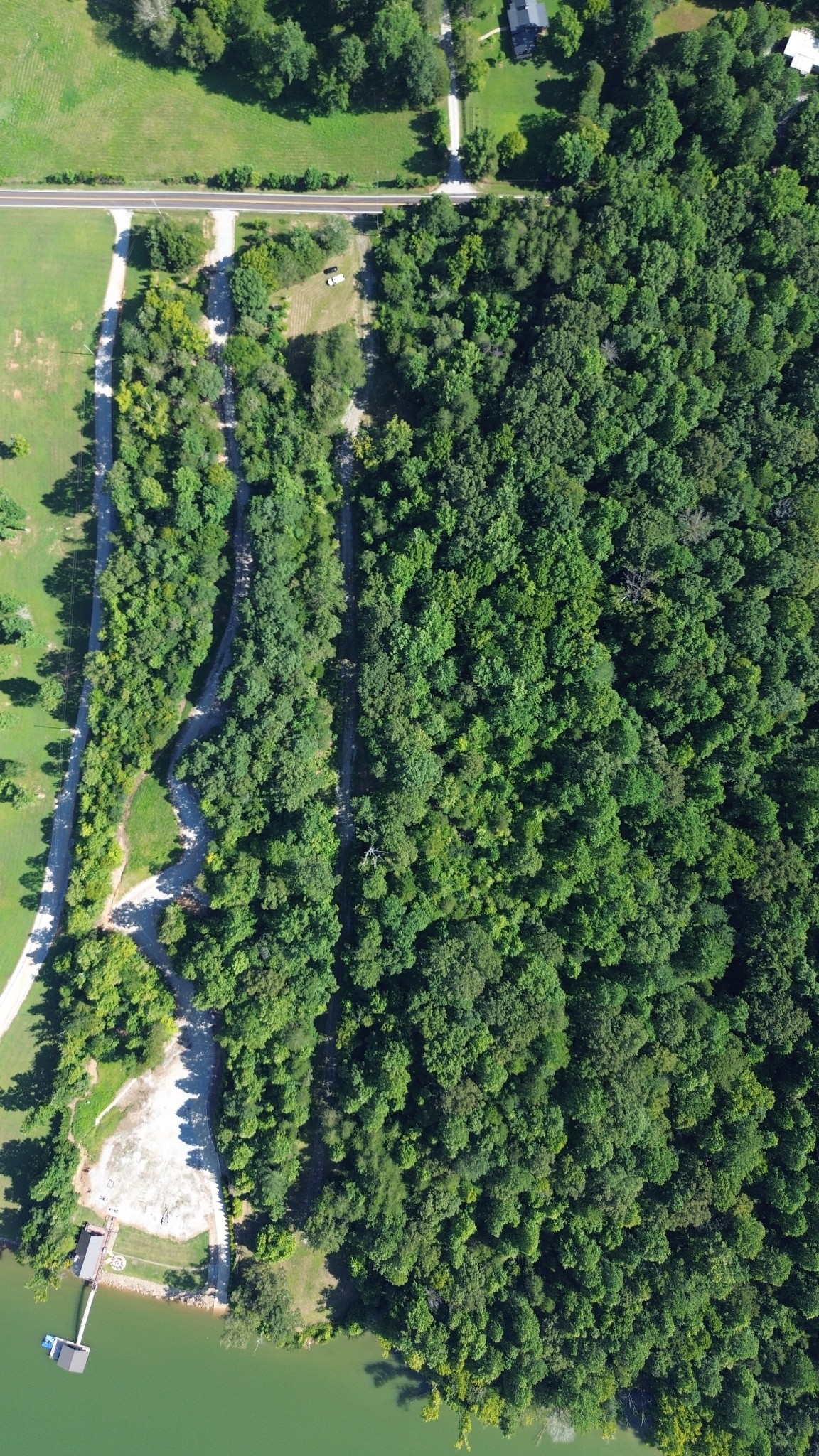 1627 Rogers Road Doyle, TN 38559 - Photo 8 of 11 a view of a lush green field