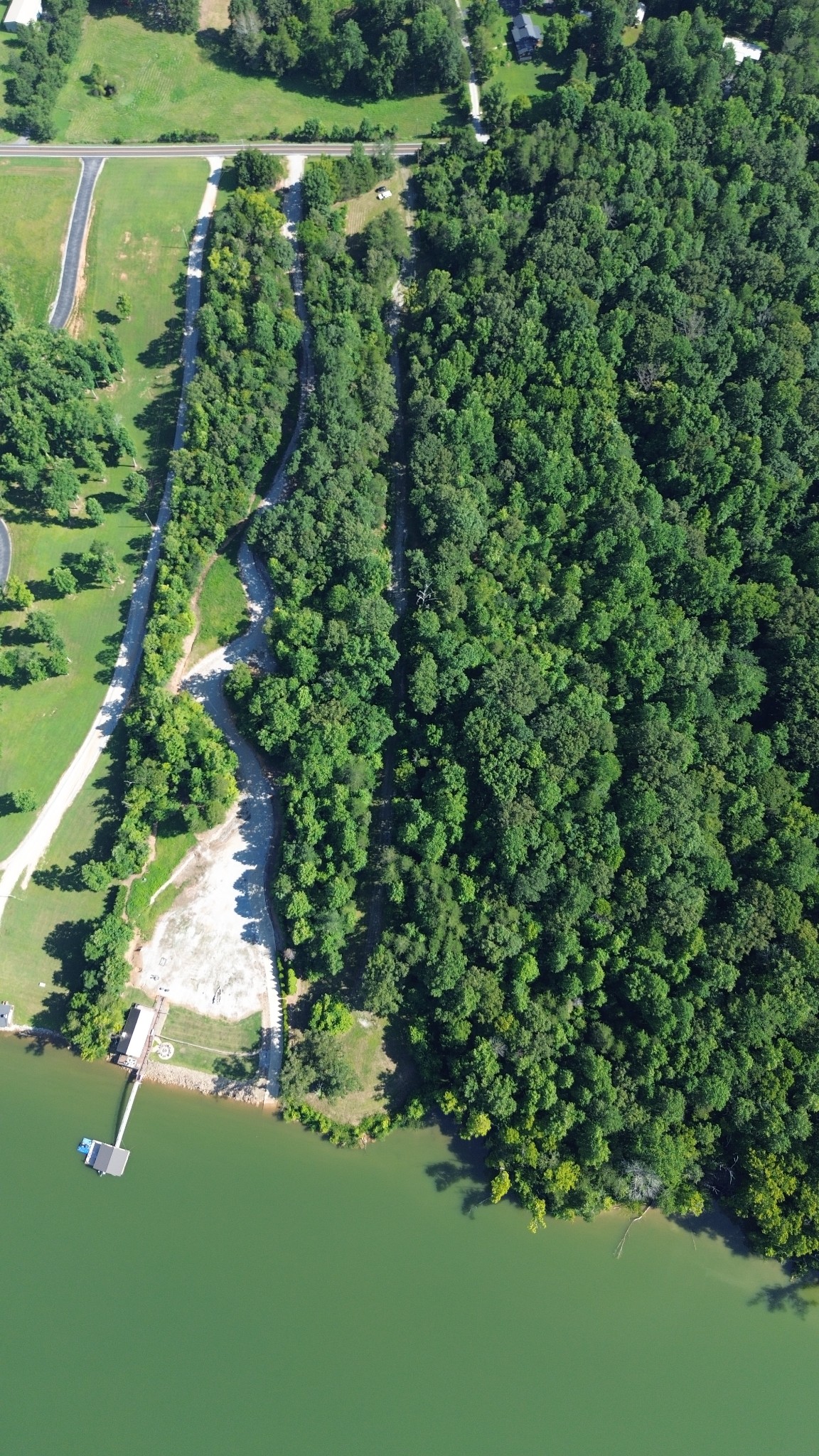 1627 Rogers Road Doyle, TN 38559 - Photo 9 of 11 a view of a garden with a lake