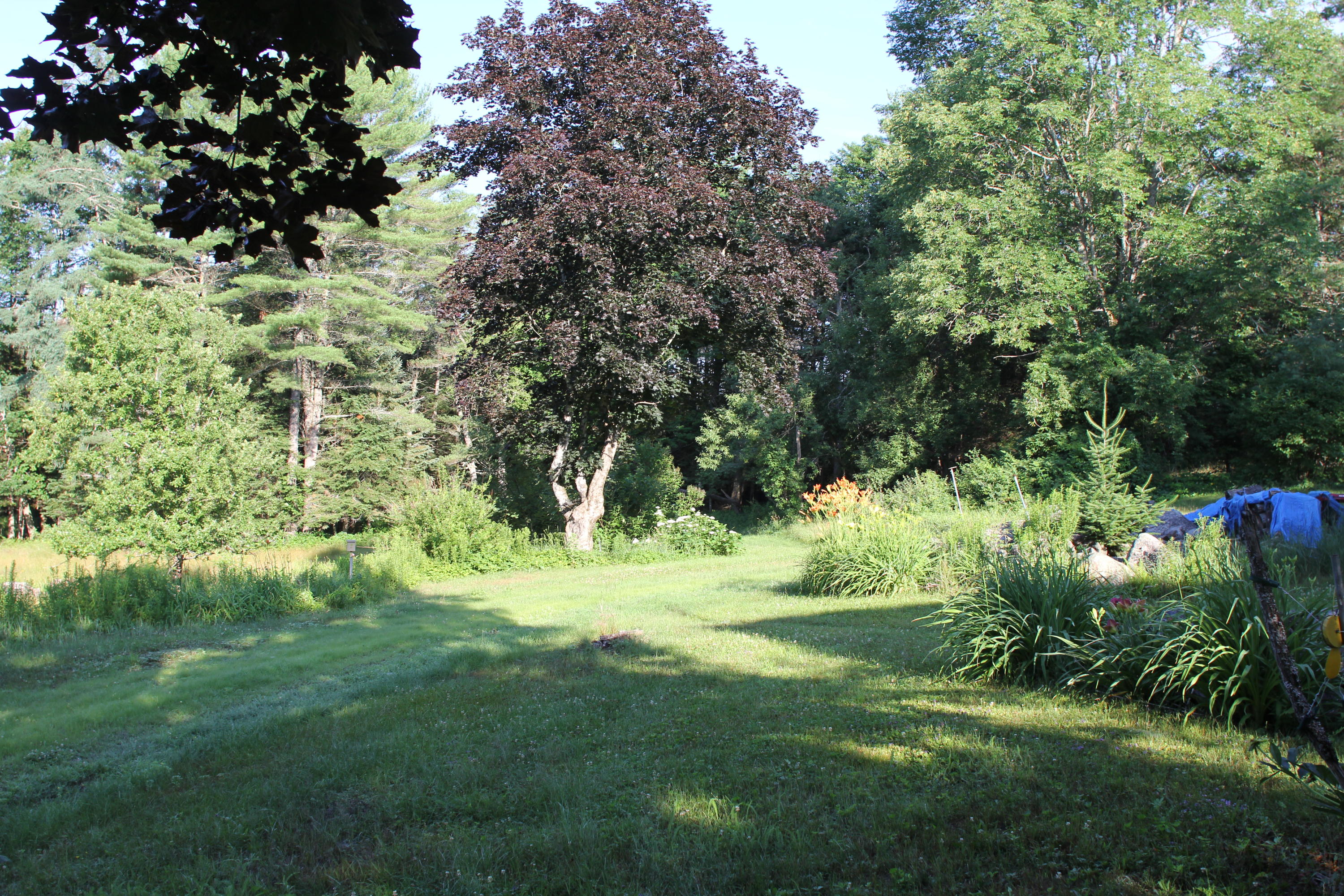1196 East Ridge Road Cornville, ME 04976 - Photo 6 of 24 IMG_7090