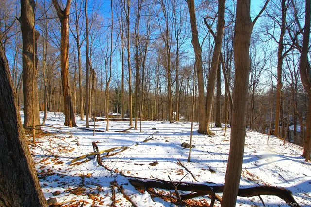 a view of swimming pool with a patio
