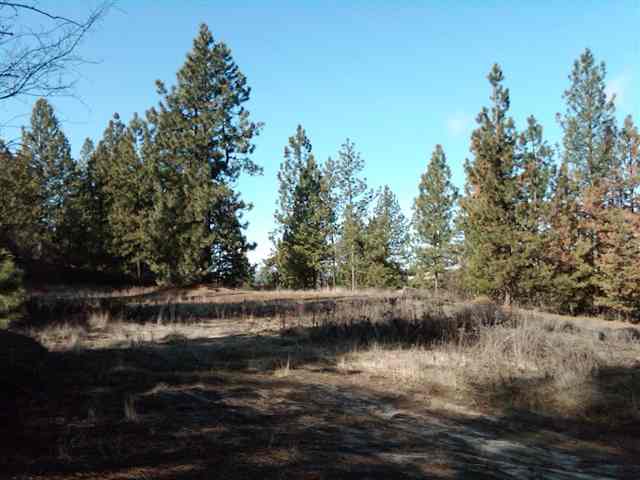 0 South Granite Lake Road Cheney, WA 99004 - Photo 2 of 9