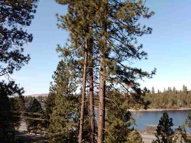 0 South Granite Lake Road Cheney, WA 99004 - Photo 4 of 9