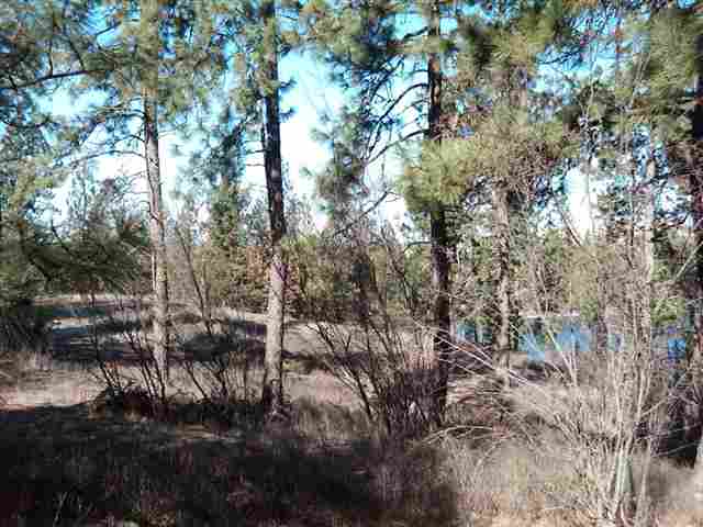 0 South Granite Lake Road Cheney, WA 99004 - Photo 5 of 9