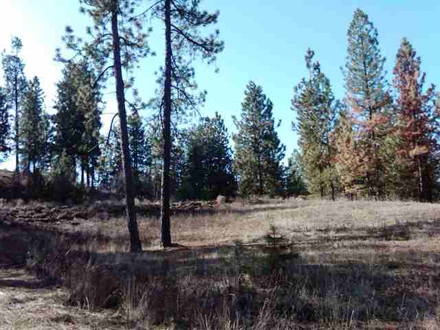 0 South Granite Lake Road Cheney, WA 99004 - Photo 6 of 9