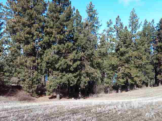 0 South Granite Lake Road Cheney, WA 99004 - Photo 7 of 9