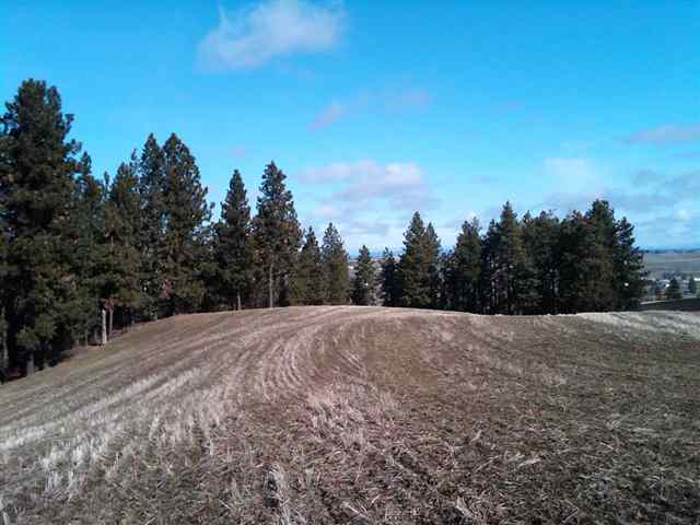 0 South Granite Lake Road Cheney, WA 99004 - Photo 8 of 9
