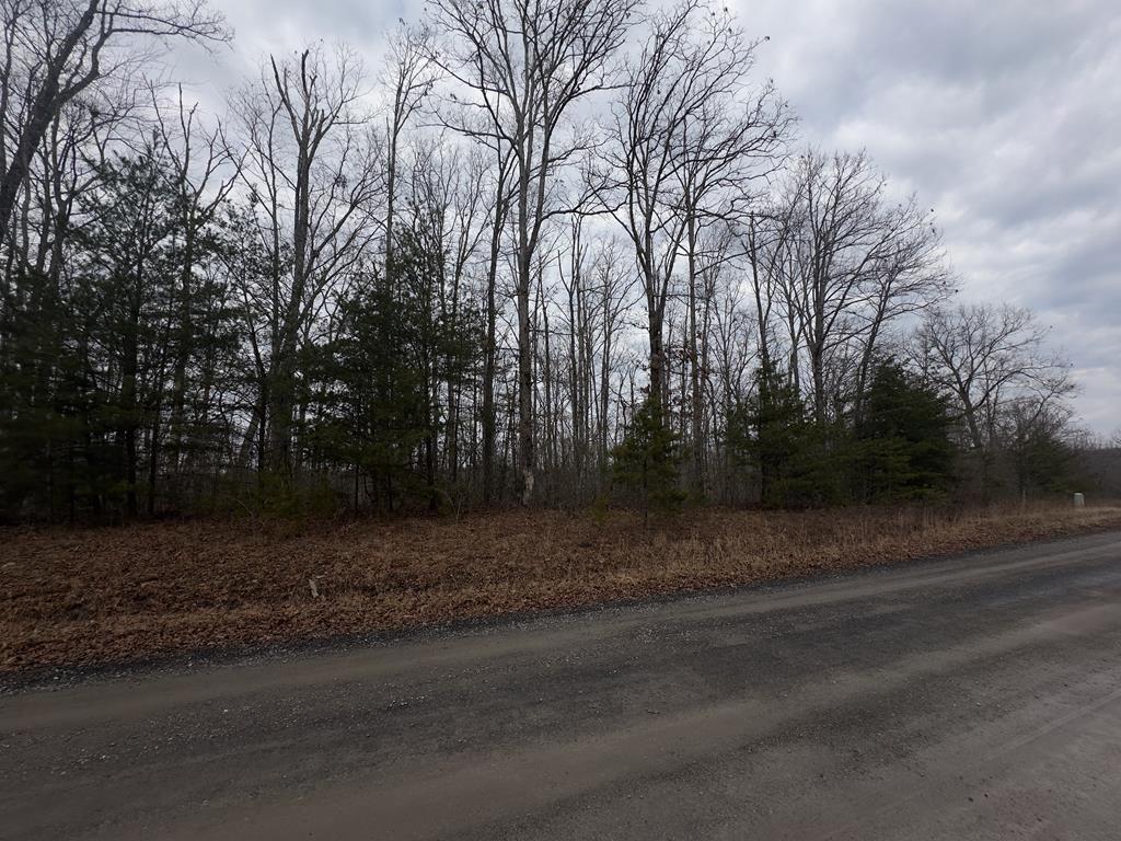 16 R Stockton Blfs Lane Jamestown, TN 38556 - Photo 2 of 5 a view of a yard with trees