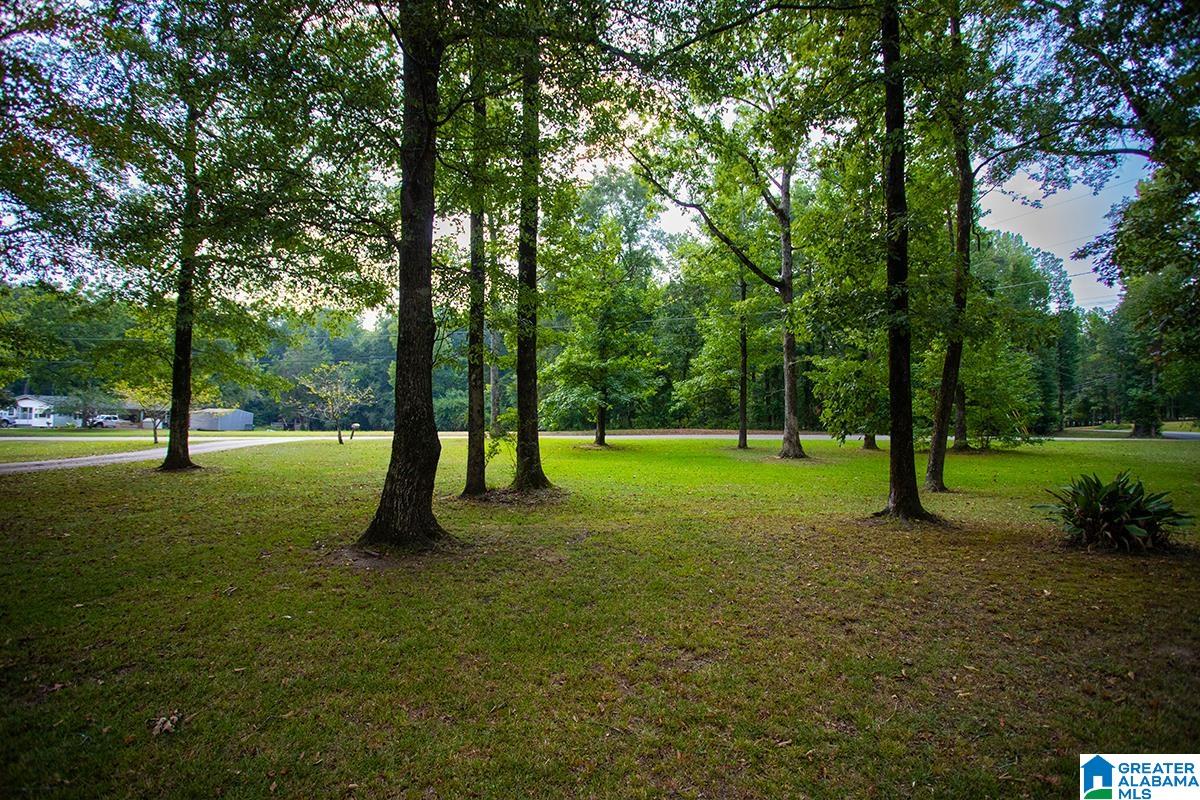 1160 Camp Branch Road Alabaster, AL 35007 - Photo 24 of 59