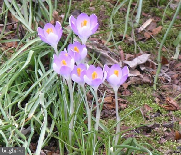 10999 Thrush Ridge Road Reston, VA 20191 - Photo 23 of 24 a view of a book in a lot of flowers