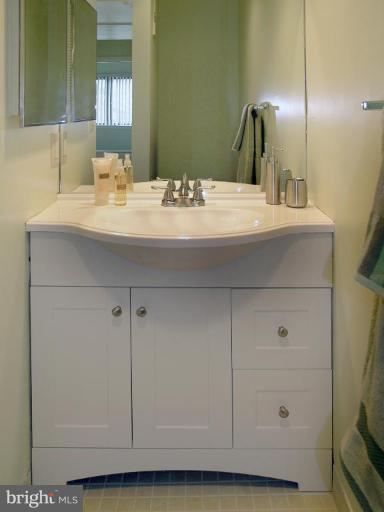 10999 Thrush Ridge Road Reston, VA 20191 - Photo 9 of 24 a bathroom with a sink and a mirror