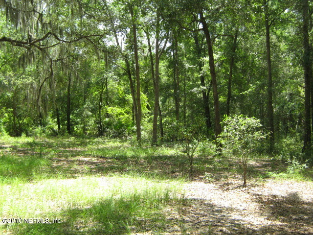 222 Kyte Road San Mateo, FL 32187 - Photo 4 of 11 Back Yard