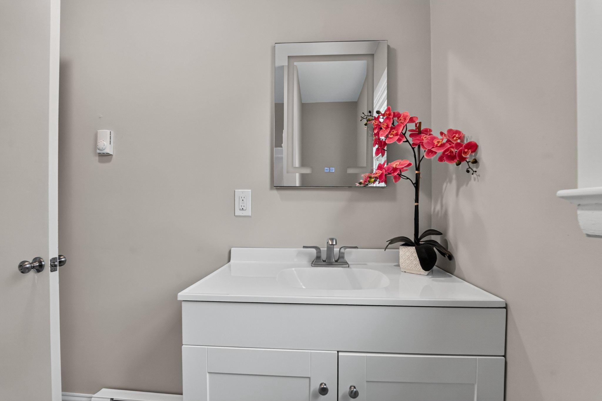 300 Woods Point Road Chester, MD 21619 - Photo 36 of 78 Touch tech illuminated bathroom mirror