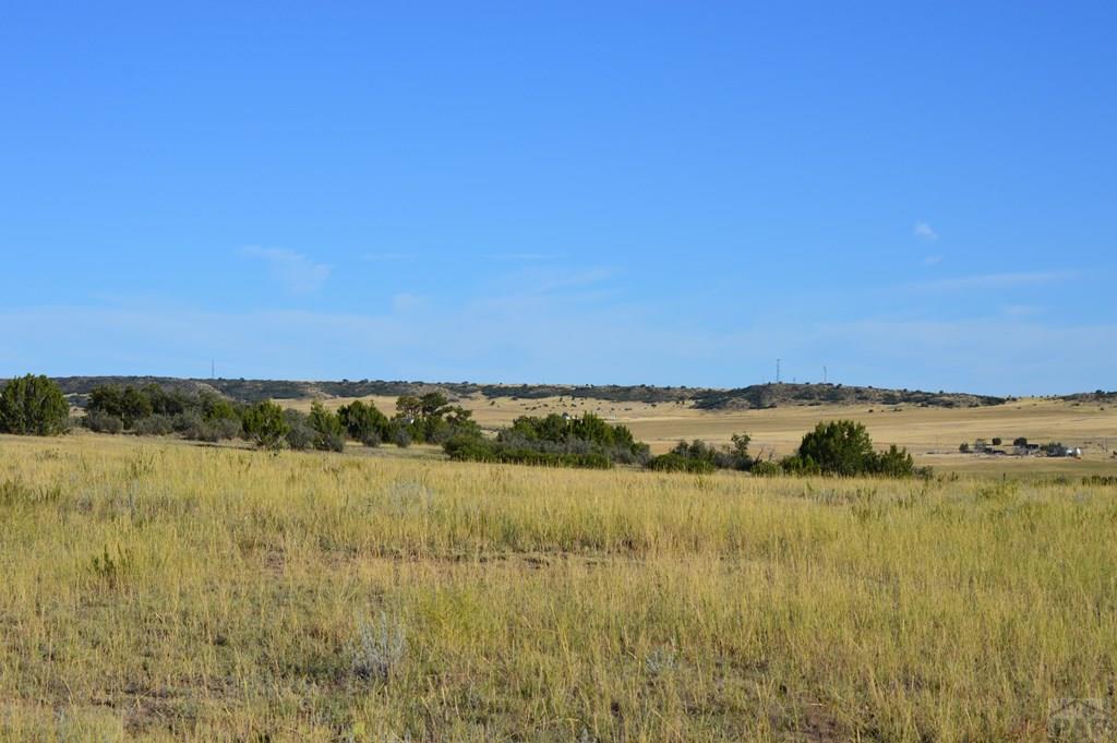 Tbd Tbd Plata Peak Rye, CO 81069 - Photo 7 of 11