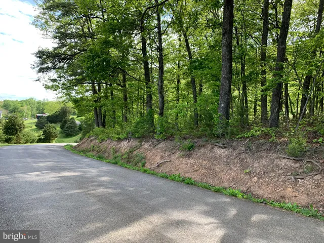 a view of a road with trees in the background