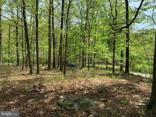 a big yard with lots of green space and trees