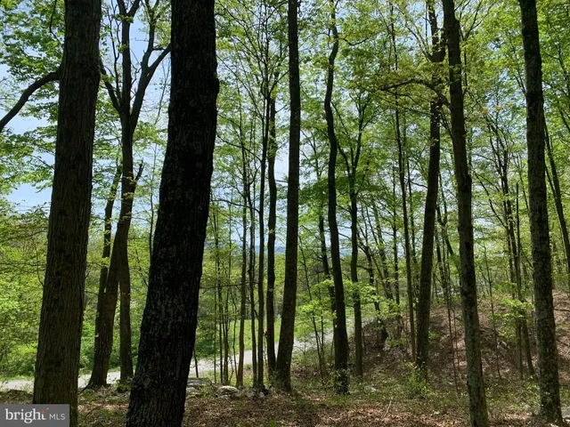 a view of outdoor space and swimming pool