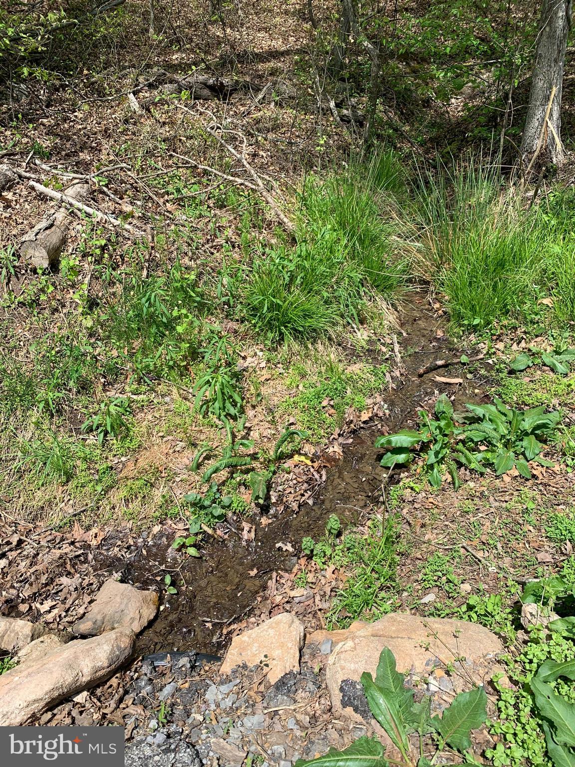 Woodmont Road Great Cacapon, WV 25422 - Photo 13 of 31 Small stream