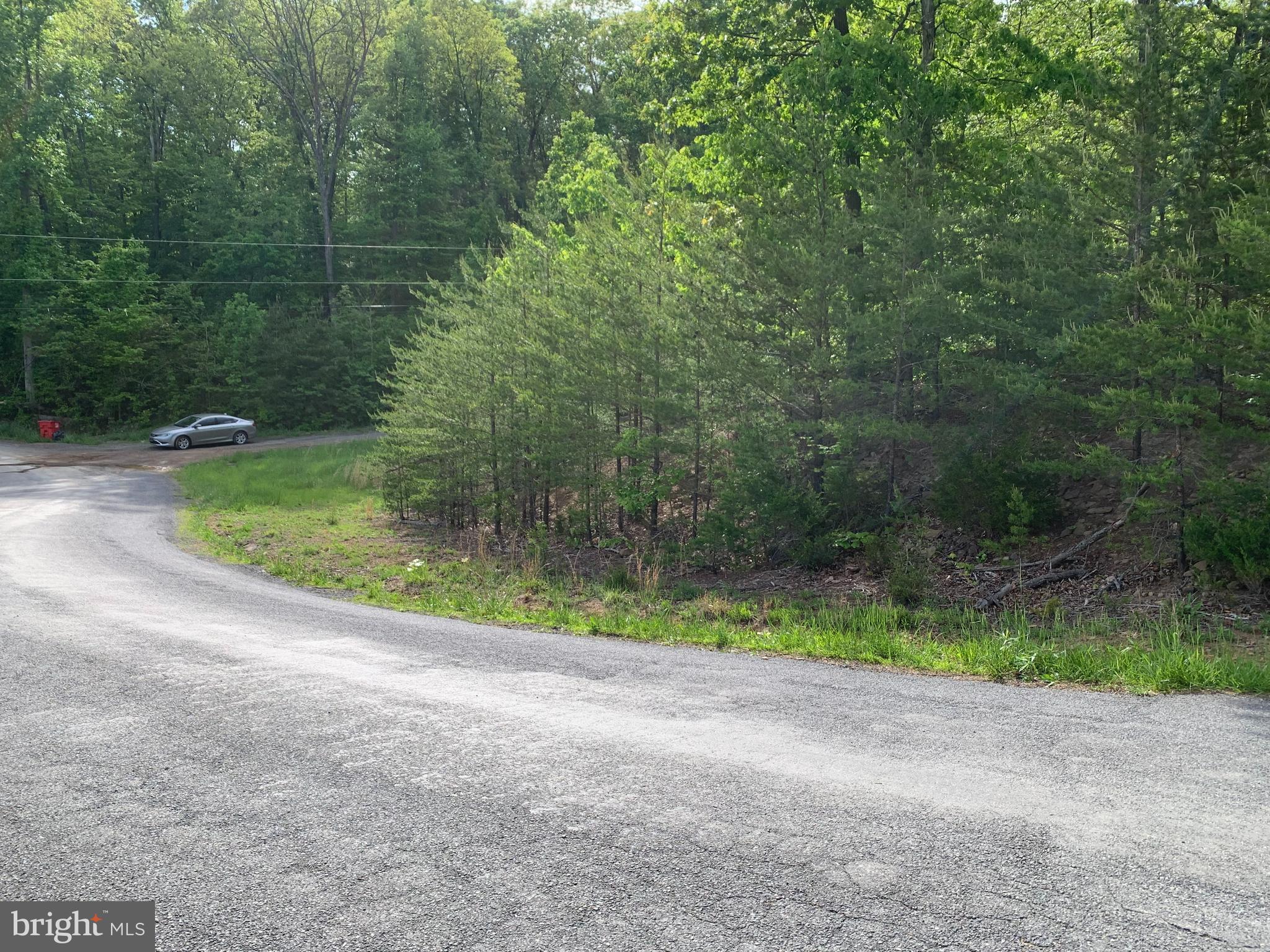 Woodmont Road Great Cacapon, WV 25422 - Photo 17 of 31 South end next to Private Rd.