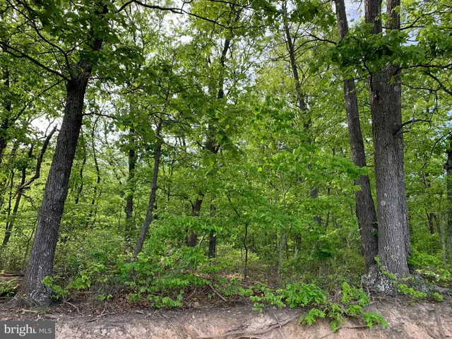 a backyard of a house with lots of trees