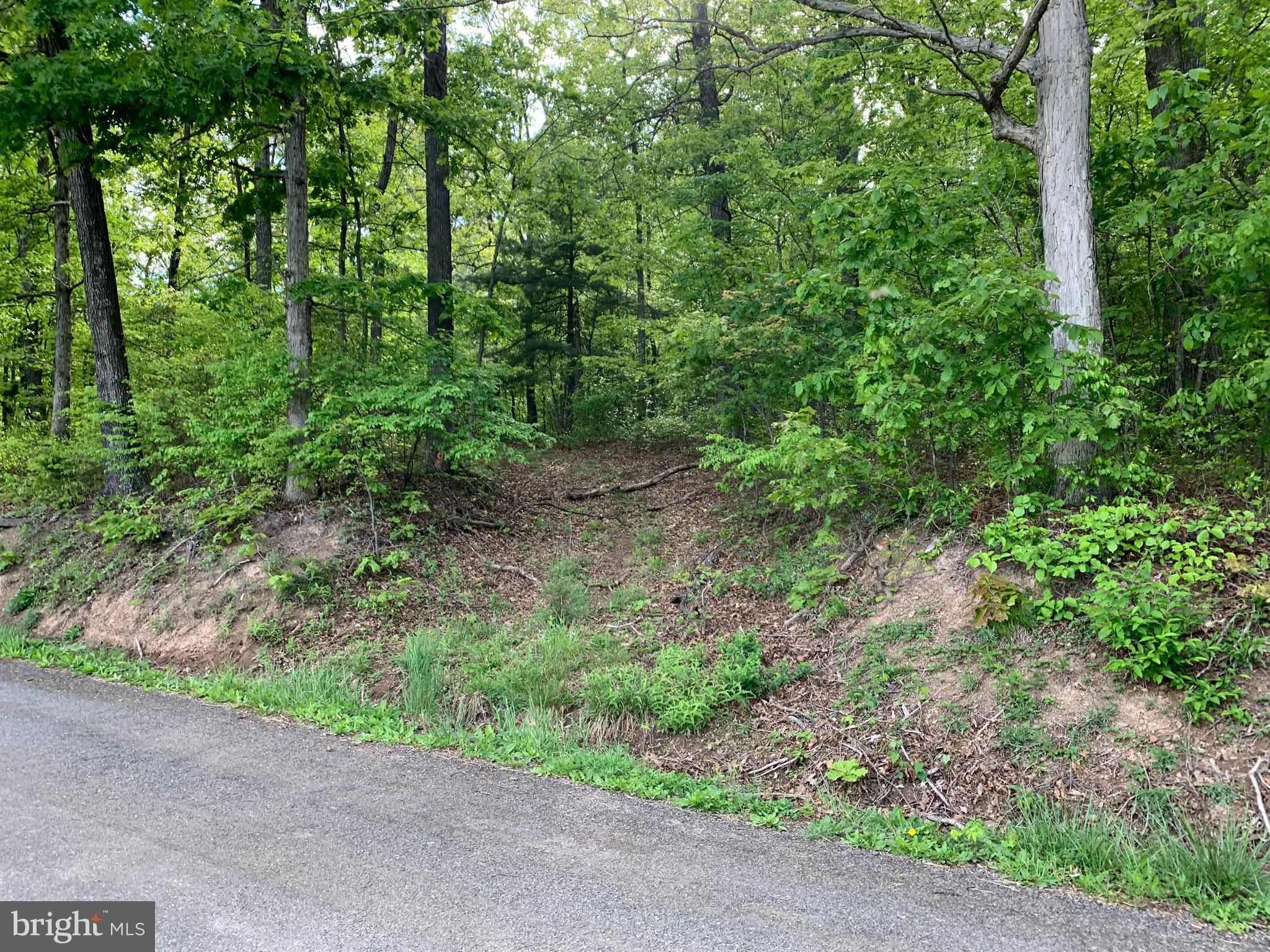 Woodmont Road Great Cacapon, WV 25422 - Photo 20 of 31 Front of Property South Driveway
