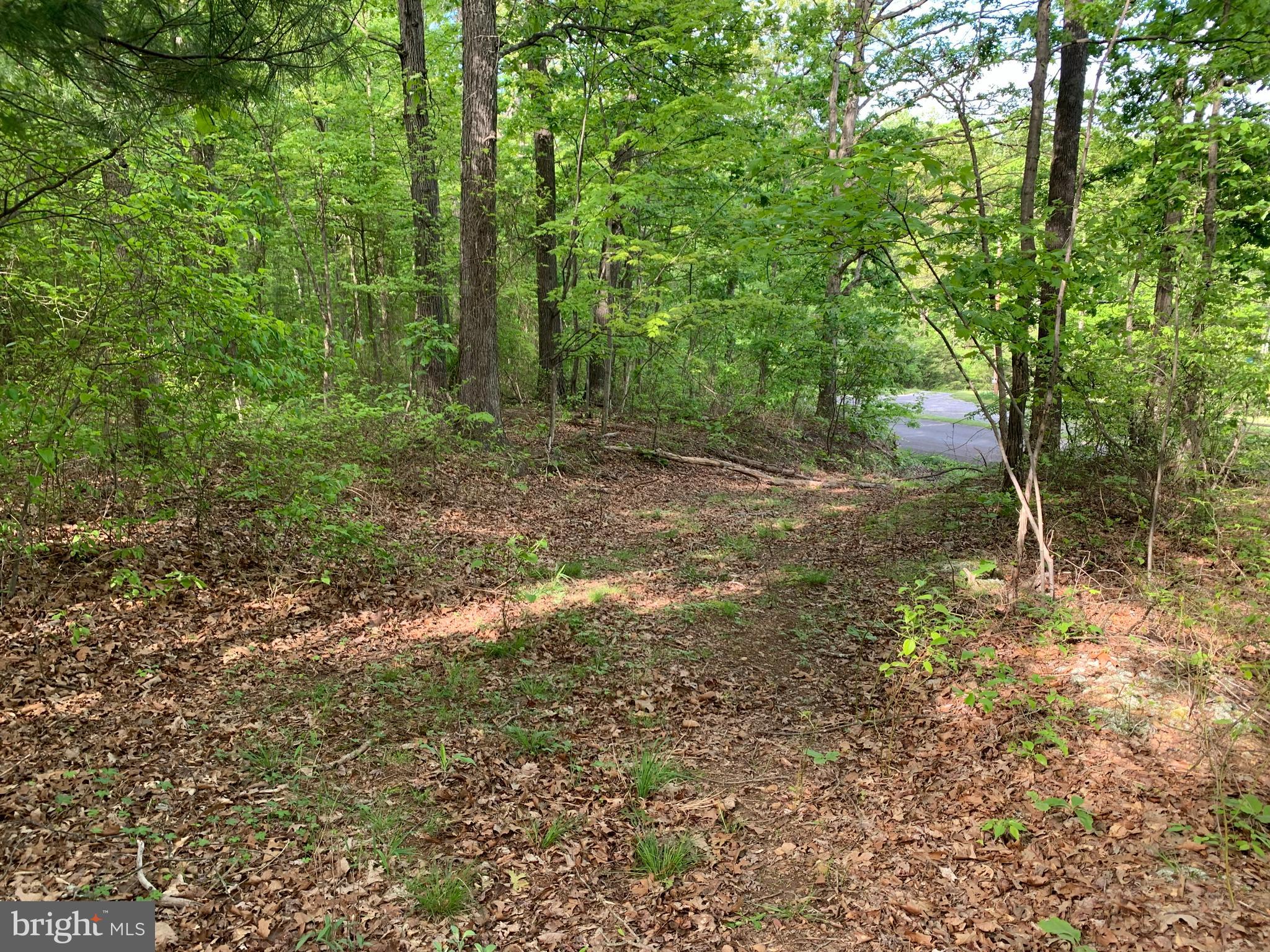 Woodmont Road Great Cacapon, WV 25422 - Photo 25 of 31 South driveway