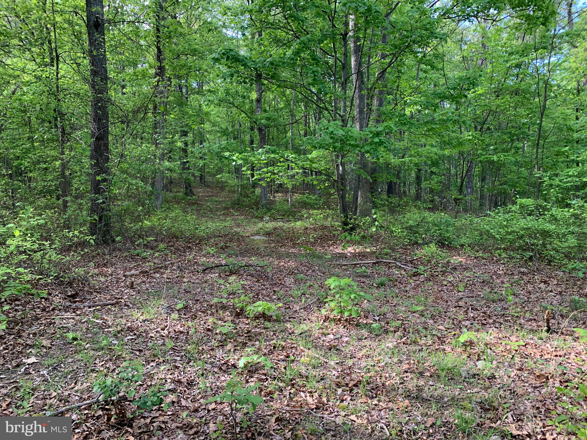 Woodmont Road Great Cacapon, WV 25422 - Photo 27 of 31