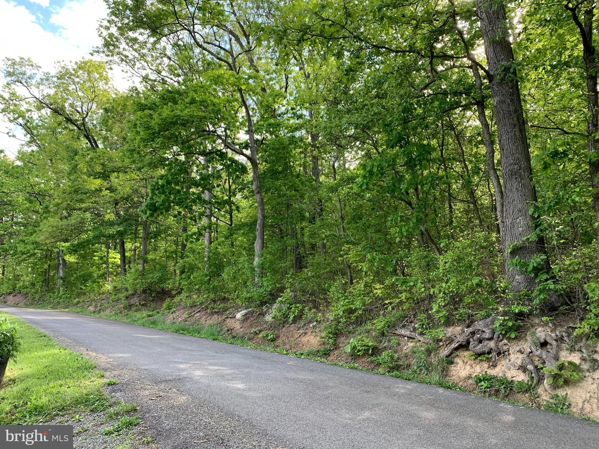Woodmont Road Great Cacapon, WV 25422 - Photo 3 of 31 Front of Property
