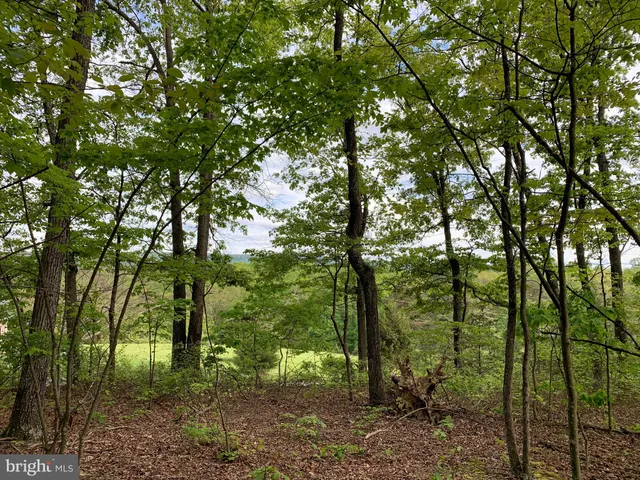 $110,000 | Woodmont Road, Great Cacapon, WV 25422