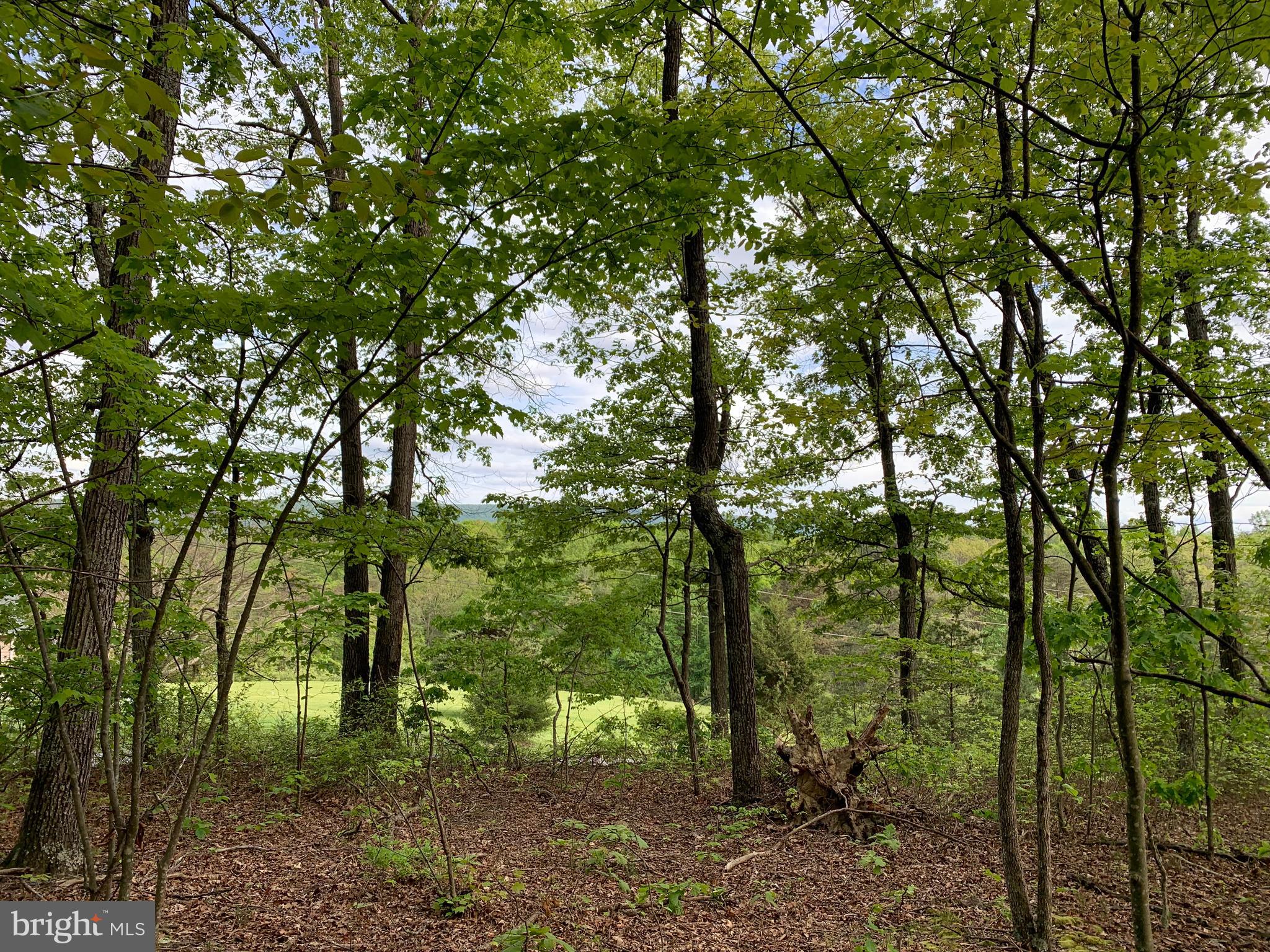 Woodmont Road Great Cacapon, WV 25422 - Photo 31 of 31 View standing on the south end of the property