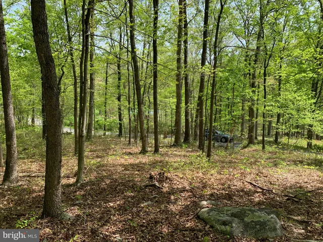 a view of outdoor space and trees