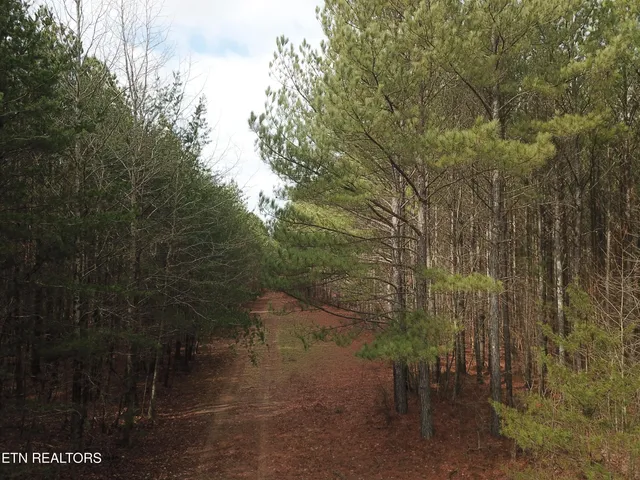 $2,628,000 | 1532 Hotwater Road, Soddy Daisy, TN 37379