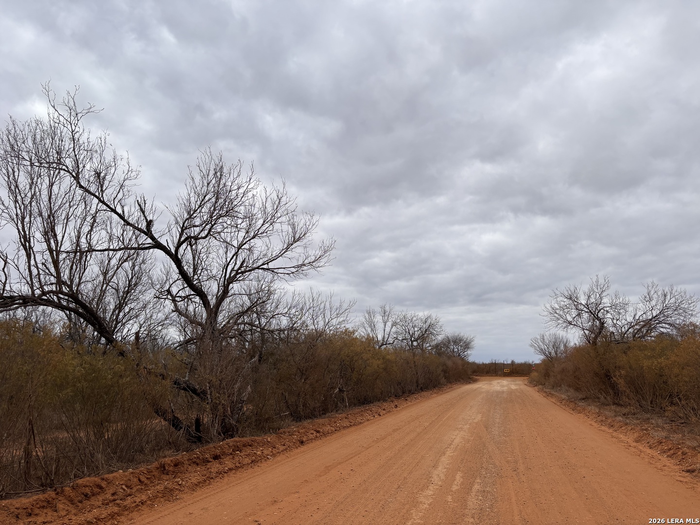 3201 McKinley Road Pearsall, TX 78061 - Photo 13 of 16