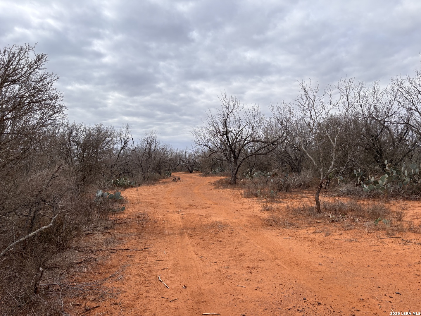 3201 McKinley Road Pearsall, TX 78061 - Photo 2 of 16