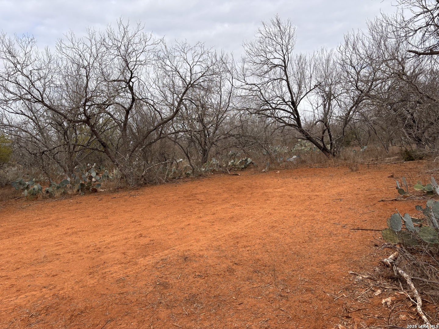 3201 McKinley Road Pearsall, TX 78061 - Photo 3 of 16