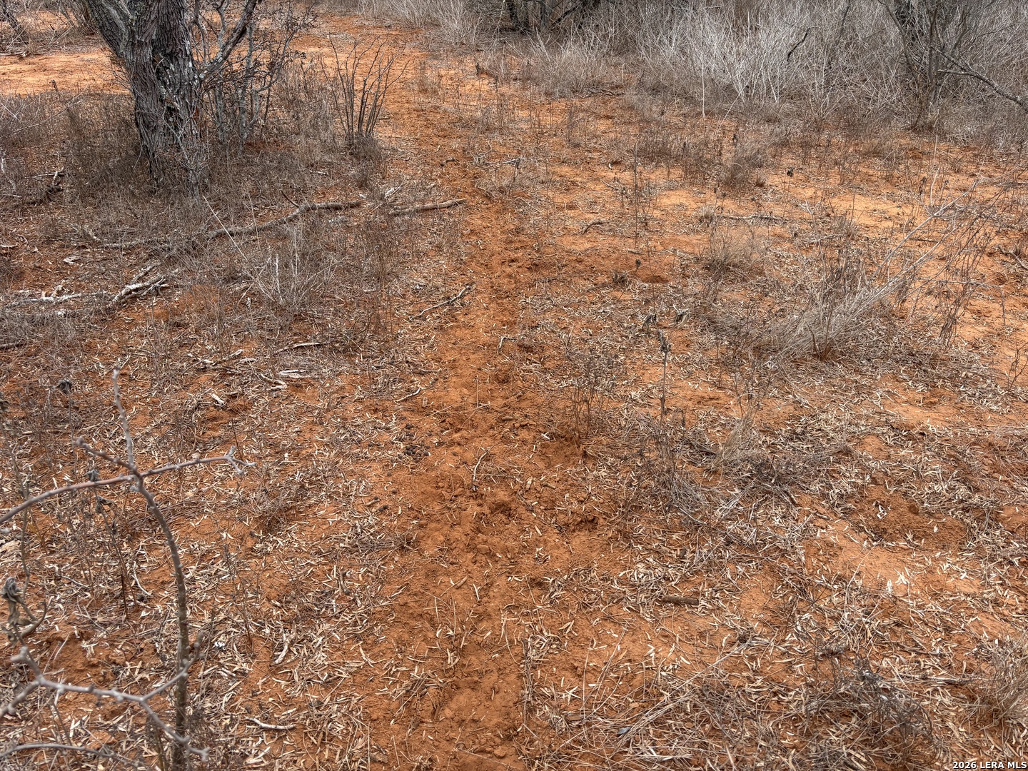 3201 McKinley Road Pearsall, TX 78061 - Photo 4 of 16