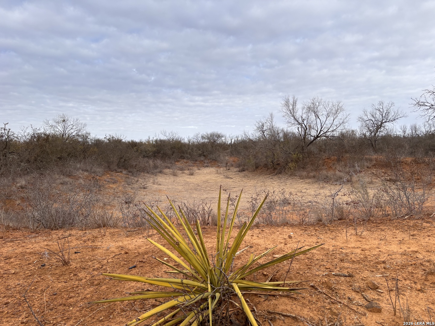 3201 McKinley Road Pearsall, TX 78061 - Photo 5 of 16