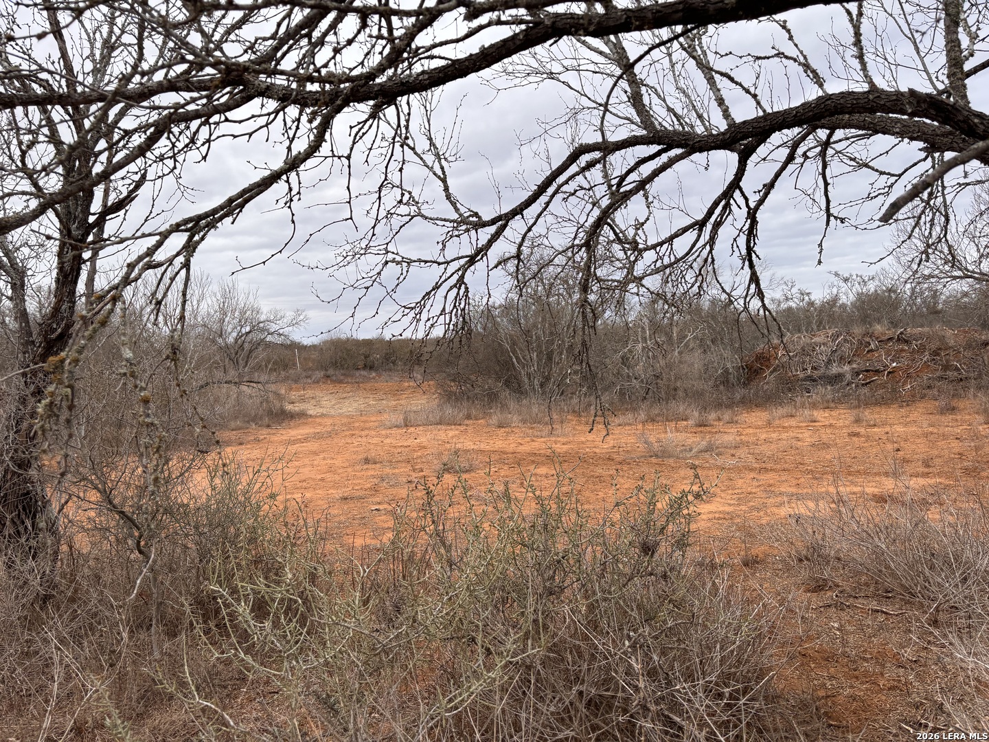 3201 McKinley Road Pearsall, TX 78061 - Photo 6 of 16