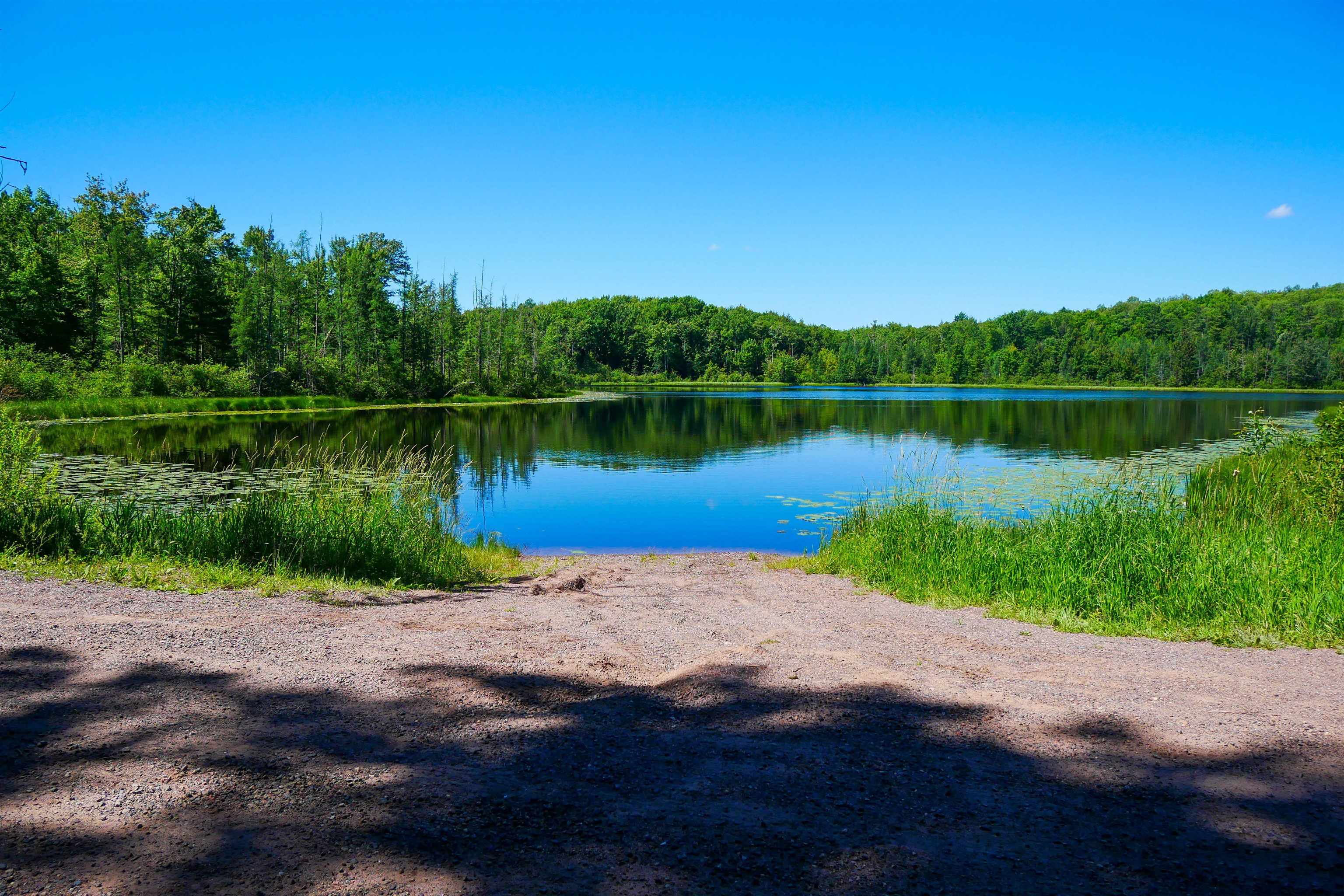 544-acre Salem Lake Road Medford, WI 54451 - Photo 2 of 9