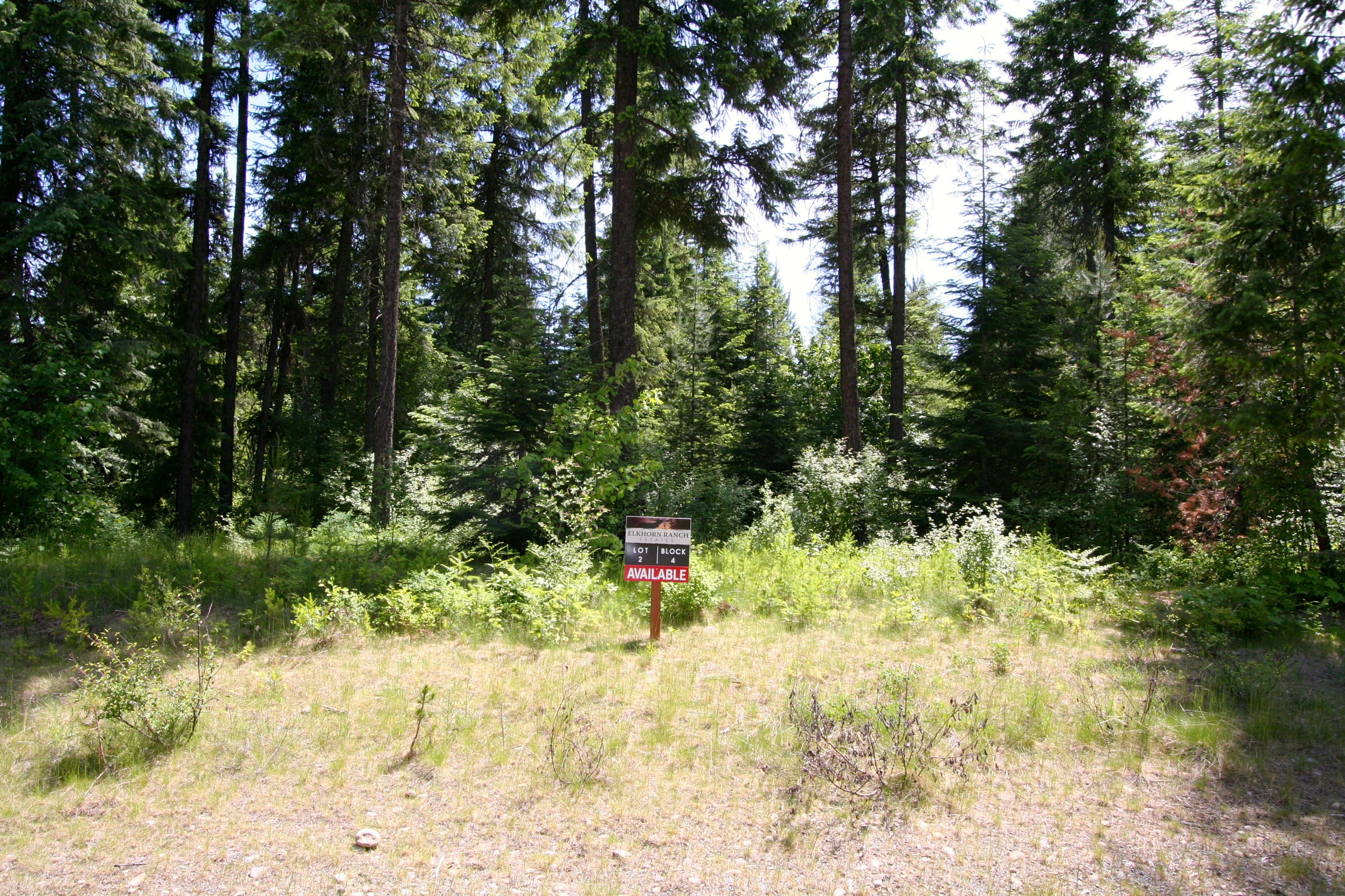 4 North Teddy Loop Rathdrum, ID 83858 - Photo 1 of 1 Lt2,Blk4 Center View