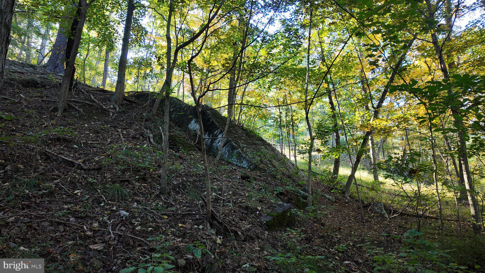 Cold Run Valley Road Berkeley Springs, WV 25411 - Photo 79 of 83 Gallery Image 79