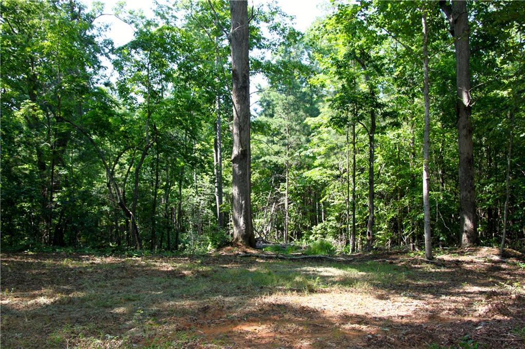 2708 Henderson Mountain Road Jasper, GA 30143 - Photo 1 of 1 Gallery Image 1