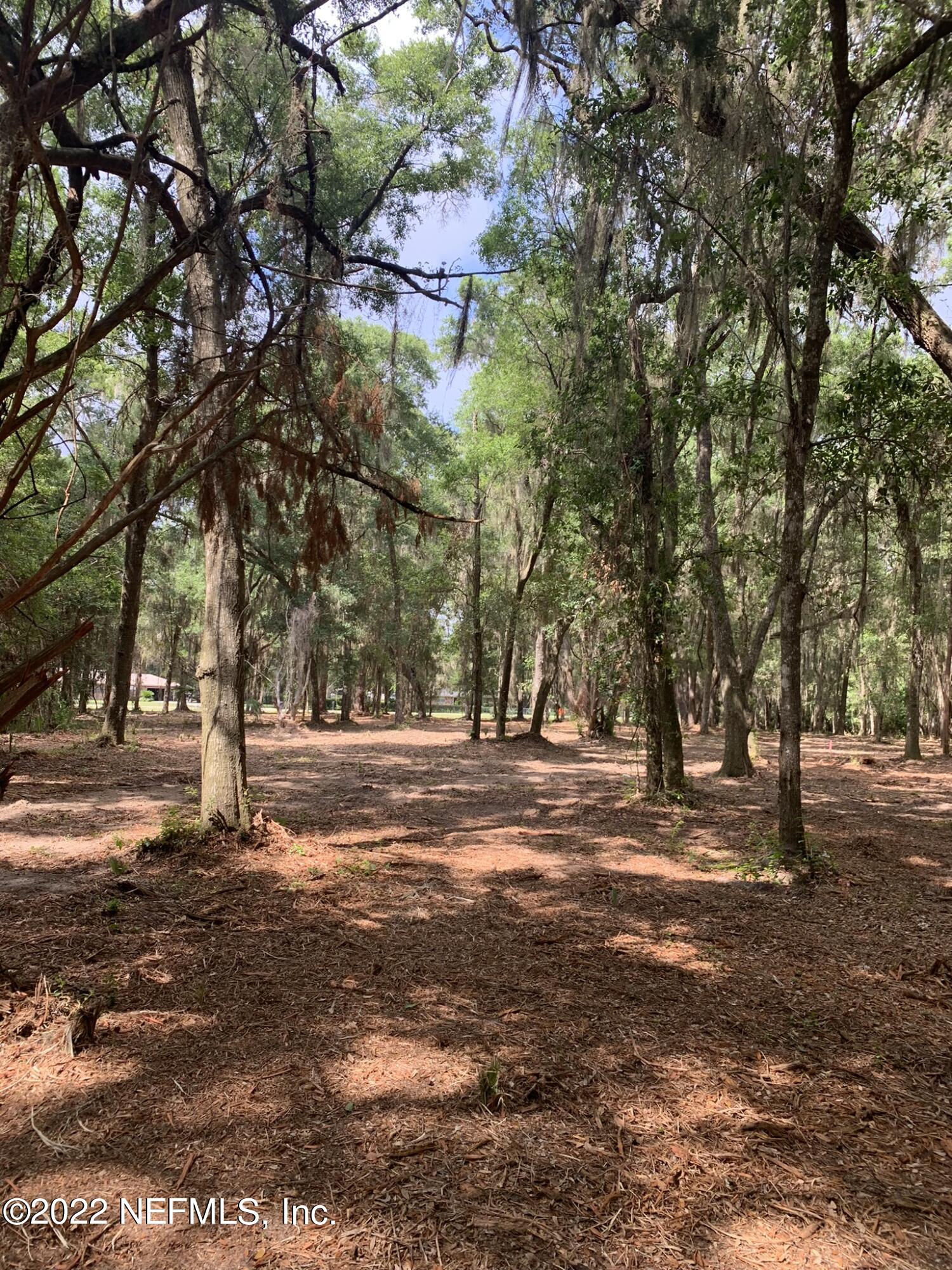 10-ac Blackrock Road Yulee, FL 32097 - Photo 1 of 23 a view of road with trees