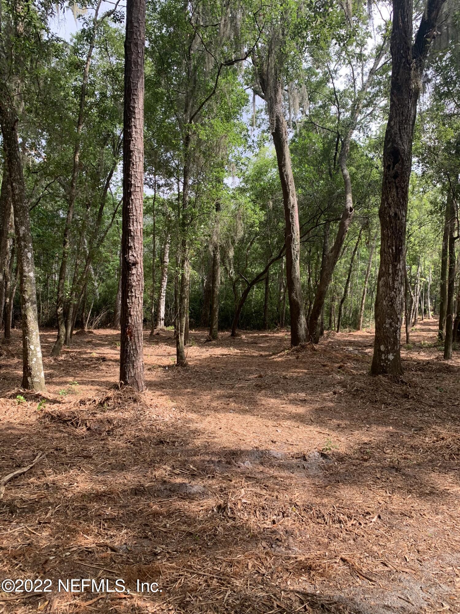 10-ac Blackrock Road Yulee, FL 32097 - Photo 23 of 23 a view of a forest with trees